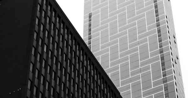 手机怎么使用梯子登陆软件的